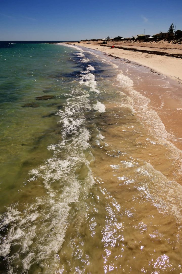 Gentle waves lap onto the sandy shoreline of Port rickaby under a clear blue sky, with a few scattered beachgoers enjoying the coast during a Yorke Peninsula road trip.