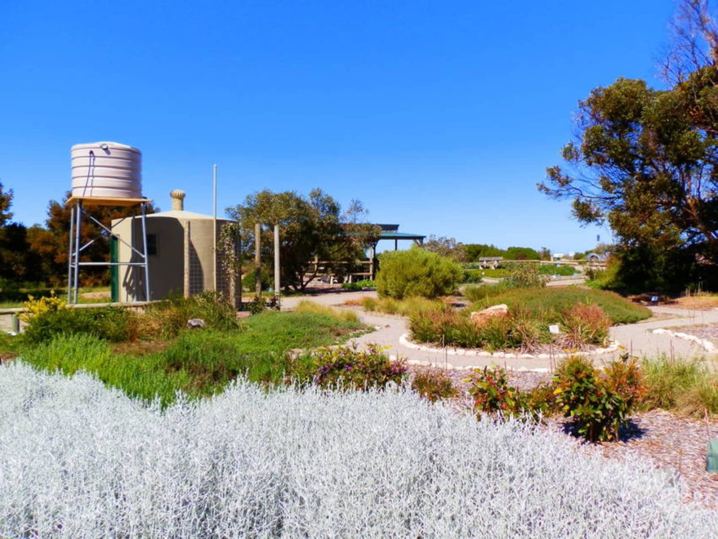 A native botanical garden with water tanks, winding gravel paths, and labeled plants under a clear blue sky on a Yorke Peninsula road trip.