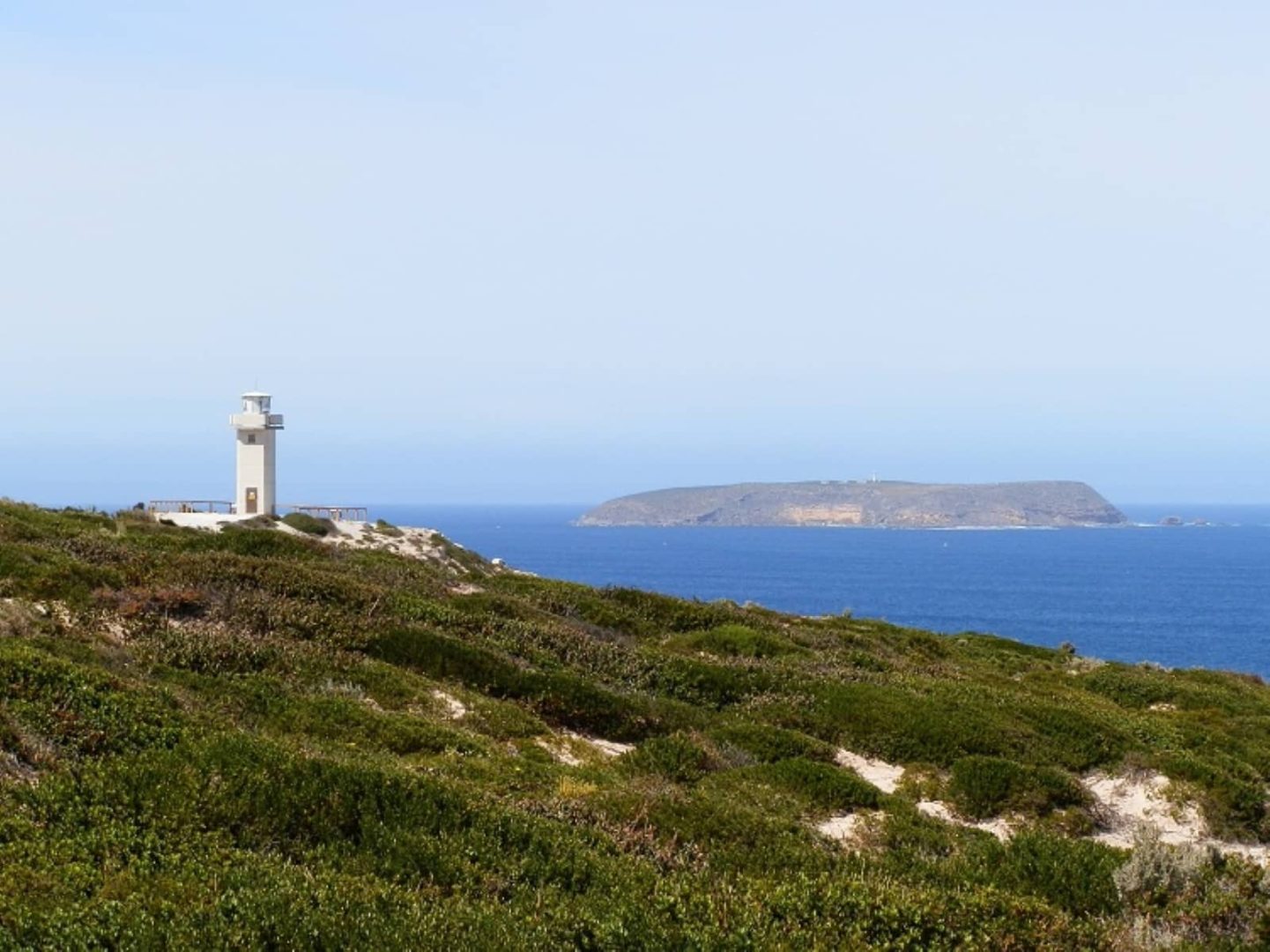 A white lighthouse perched above coastal scrub with a rocky island visible offshore under a clear sky during a Yorke Peninsula road trip.
