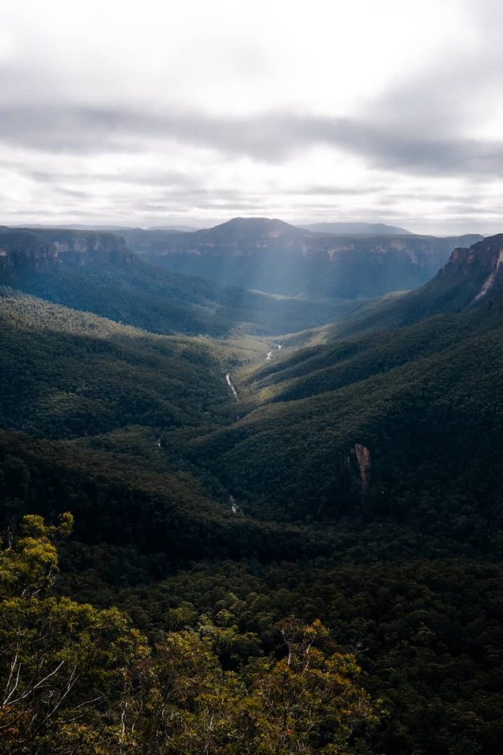 A wide view of a deep forested valley with cliffs on either side under a cloudy sky along the Grand Canyon Track in Blue Mountains. A river winds through the center emphasizing the scale of the landscape.
