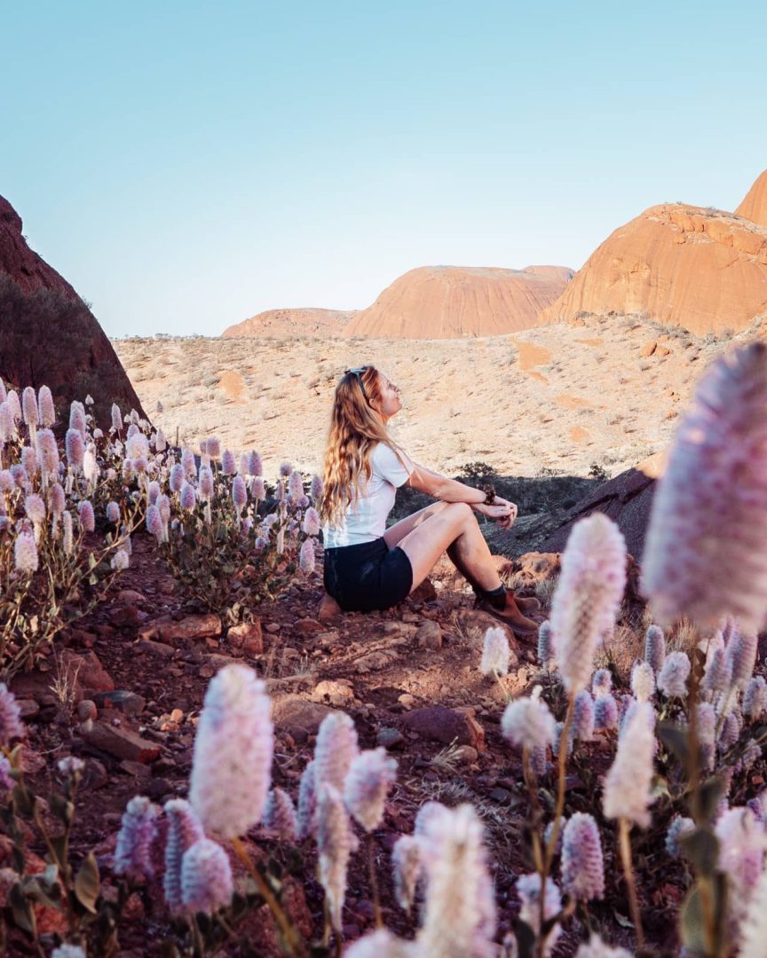 A woman sits peacefully among blooming pink mulla mulla flowers with Kata Tjutaโs rounded domes rising in the background, captured during an alice springs to uluru road trip. The scene is vibrant and serene.