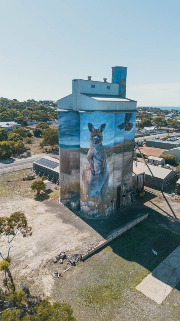 Large silo mural of a kangaroo and parrot in a country town, seen while exploring on a kangaroo island road trip 3 days.