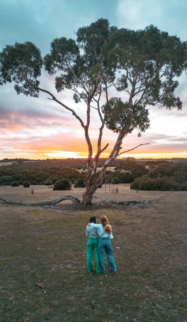 Two women standing arm-in-arm beneath a gum tree, watching the colourful sunset sky on a peaceful kangaroo island road trip 3 days.