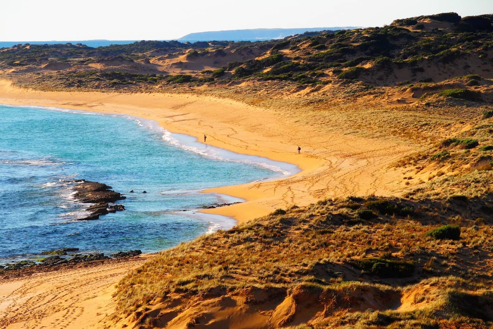 Golden sandy beach lined with rugged dunes and low coastal vegetation, curving along turquoise waters under soft sunlight. A few distant people walk near the shore, leaving footprints in the sand. It's Browns Beach in Innes National Park