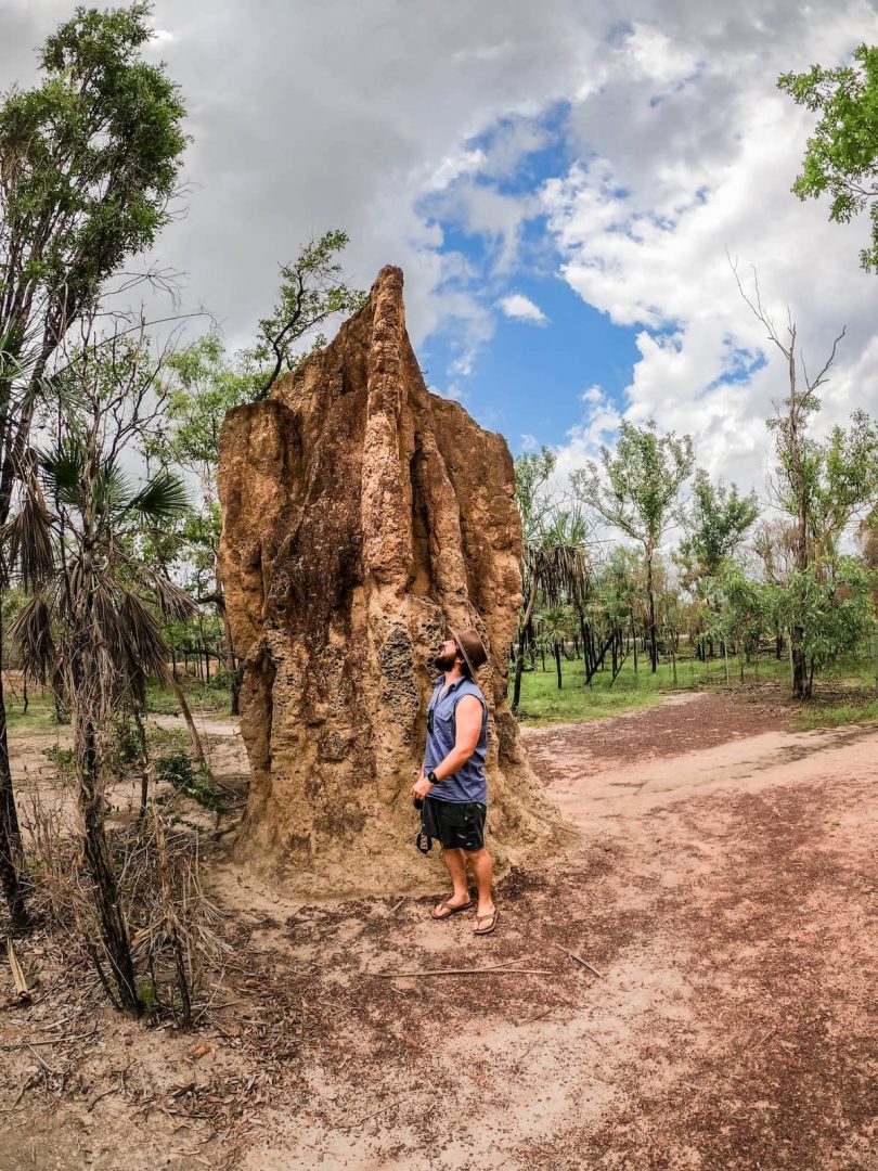 Man gazes up at a towering termite mound in Litchfield National Park, a fascinating roadside stop on a Melbourne to Darwin road trip.