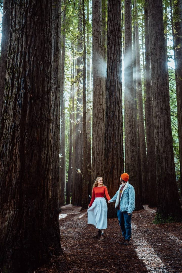 Couple walking hand in hand through towering redwood trees with light filtering through the trunks, captured on a Melbourne to Darwin road trip stop in the Great Ocean Road.