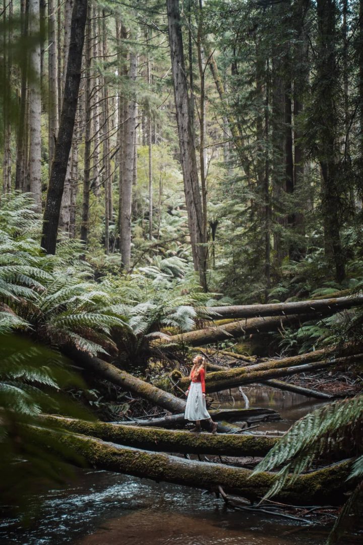 Woman in a red jacket explores a mossy rainforest in the Otways, crossing over fallen logs above a creek, part of the scenic detours on a Melbourne to Perth road trip.