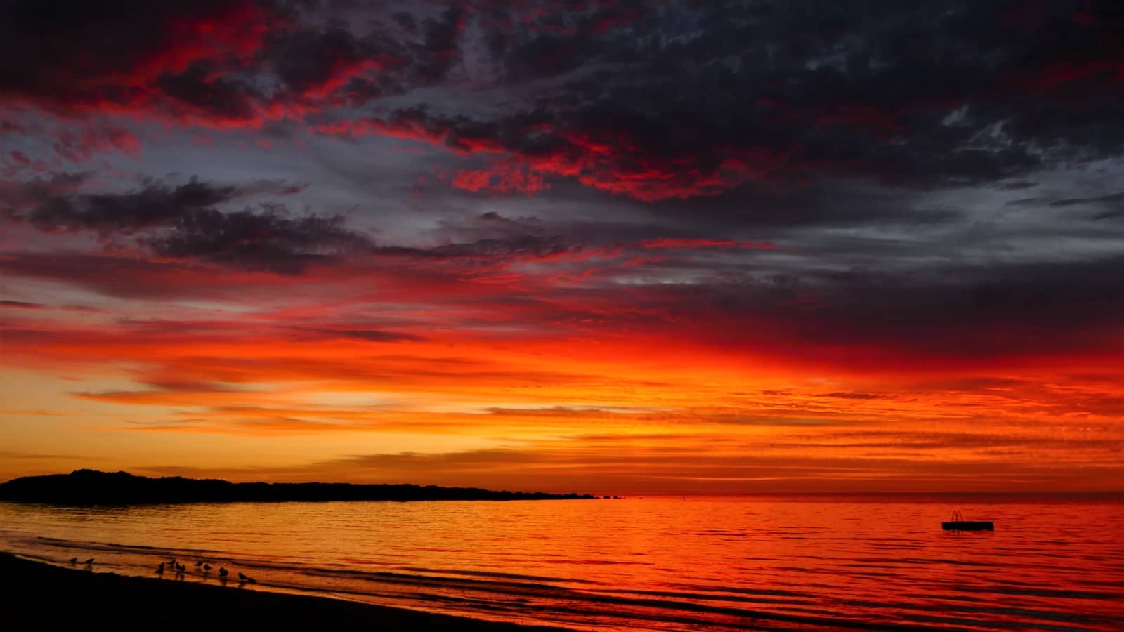 Vibrant red, orange, and purple clouds streak the sky over calm ocean waters at sunset in Port Lincoln, South Australia. Silhouetted birds gather at the waterโs edge while a small floating platform rests offshore.
