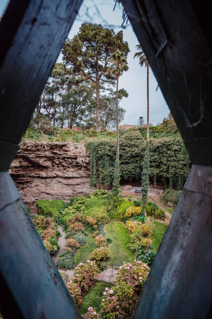 Lush green garden inside the Umpherston Sinkhole viewed through a diamond-shaped fence opening, a unique spot along the Melbourne to Perth road trip.