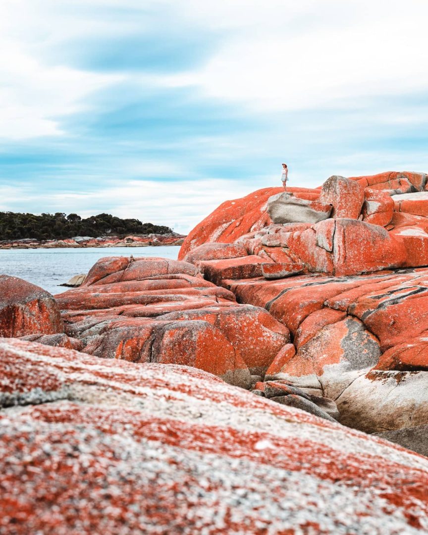 A person standing atop striking red lichen-covered boulders at the Bay of Fires, a must-see stop on a 7 day Tasmania road trip.