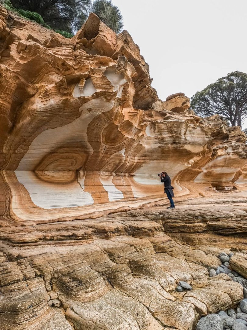Wide view of the Painted Cliffs on Maria Island with swirling sandstone layers, as a photographer captures the textures during a Tasmania itinerary 10 days.