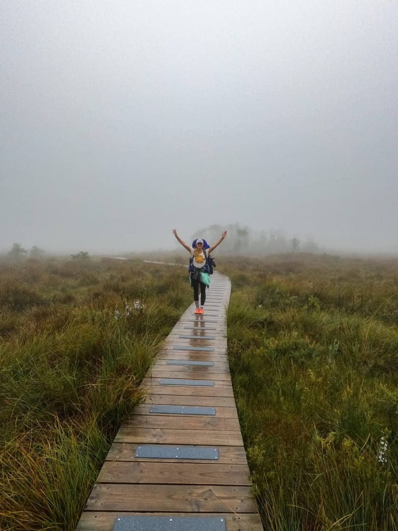 A hiker with arms raised walks along a foggy wooden boardwalk trail on the Three Capes Track, typical of Tasmaniaโs wild landscapes on a 7 day road trip.