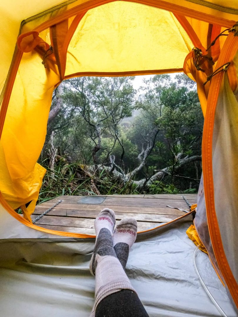Cosy view from inside a yellow camping tent looking out to a misty forest deck, showing the outdoor lifestyle of a 7 day Tasmania itinerary.