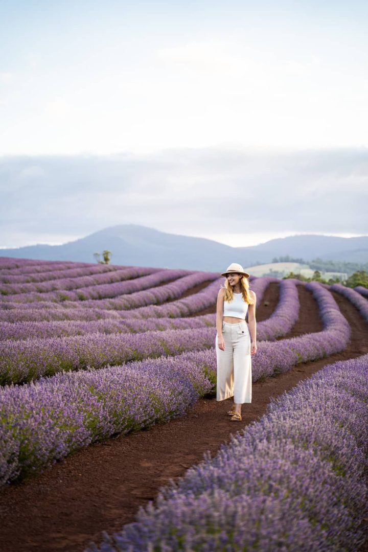 Woman in light outfit walking through neat rows of purple lavender flowers at golden hour, showcasing the scenic charm of a Tasmania Road Trip 10 Days.