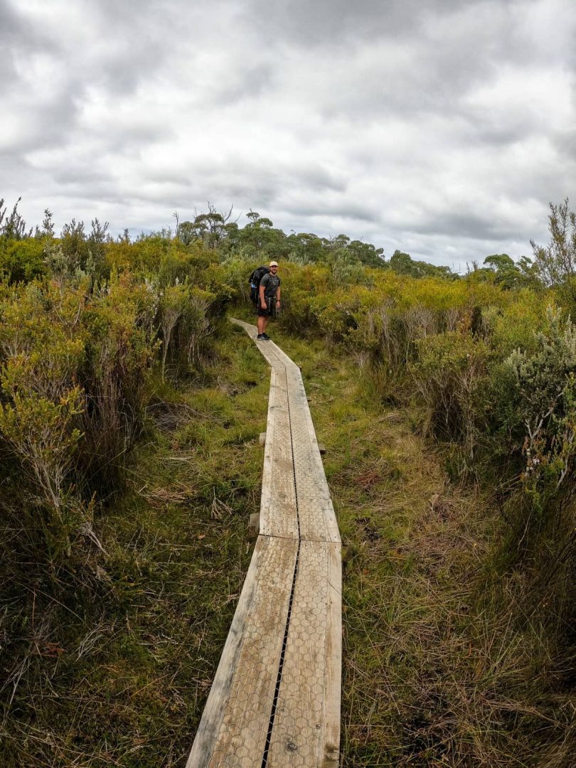 A hiker walks a narrow wooden boardwalk through coastal scrub under moody skies, typical terrain on the Three Capes Track for free.