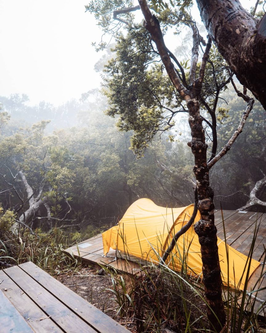 A yellow swag pitched on a wooden platform of Bare Knoll Campsite in a misty Tasmanian forest, showing a free campsite setup along the Three Capes Track for free.