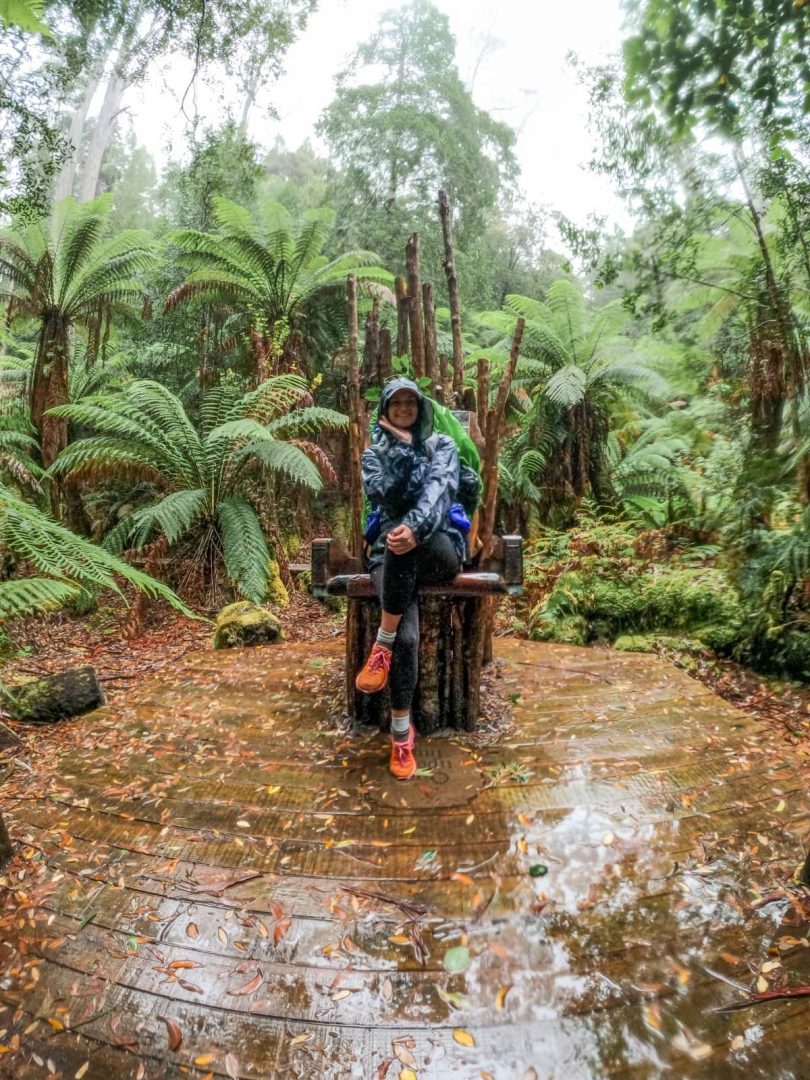 Smiling hiker sitting on a wooden throne-style chair surrounded by dense ferns and dripping rainforest, one of the whimsical and memorable things to do in Tasmania's wild trails.
