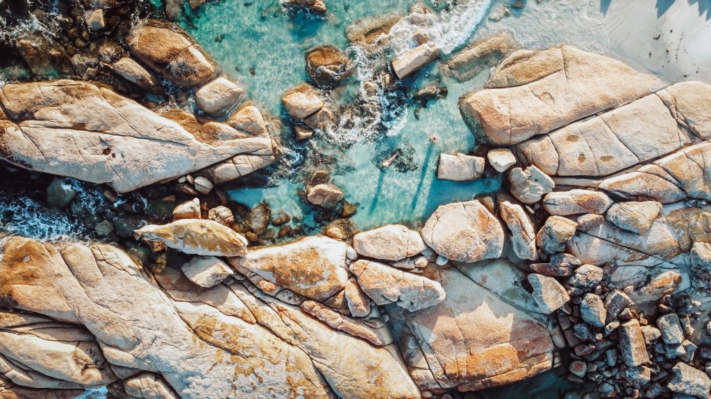 Tasmania Rockpools