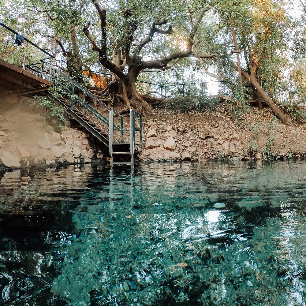 Clear turquoise water fills Katherine Hot Springs beneath large shady trees. Metal steps lead directly into the spring from the rocky bank.