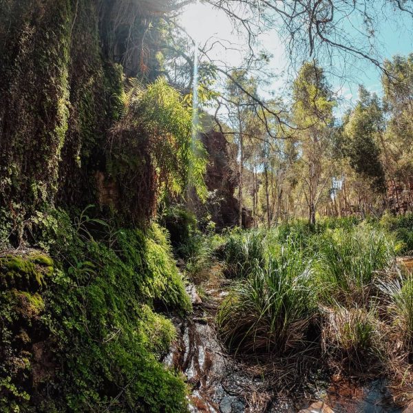 Best Time to Go to Karijini? What's the weather like? Is it safe?