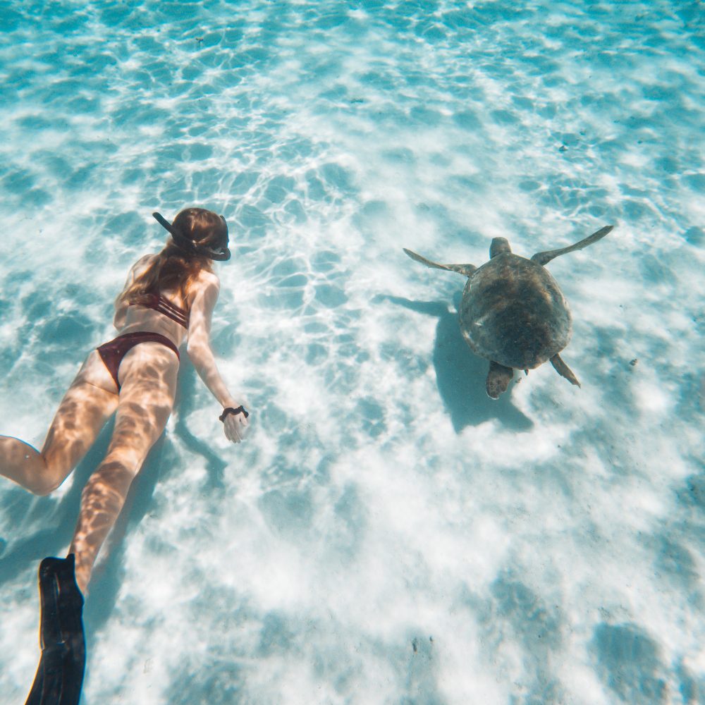 Bec swimming with turtles in Exmouth, Western Australia