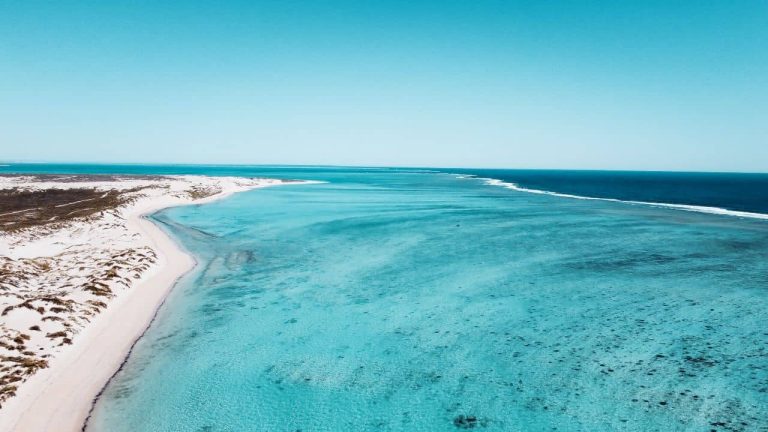 Quick Guide To The Ningaloo Reef: Best Time To Visit, Worst Time, Things To Do, And More