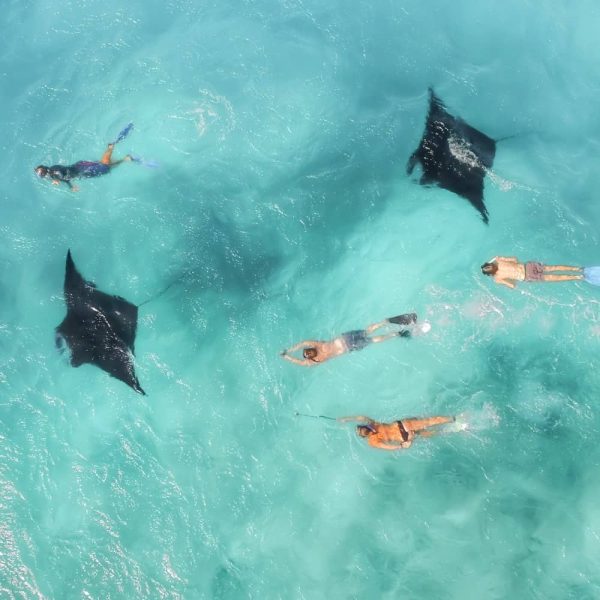 Ningaloo Reef Best Time To Visit, What To Do, And Much More