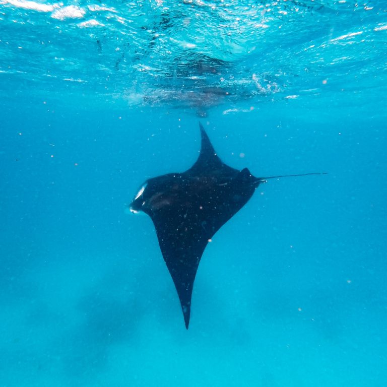 9 Life-Changing Things To Do In Coral Bay, Western Australia