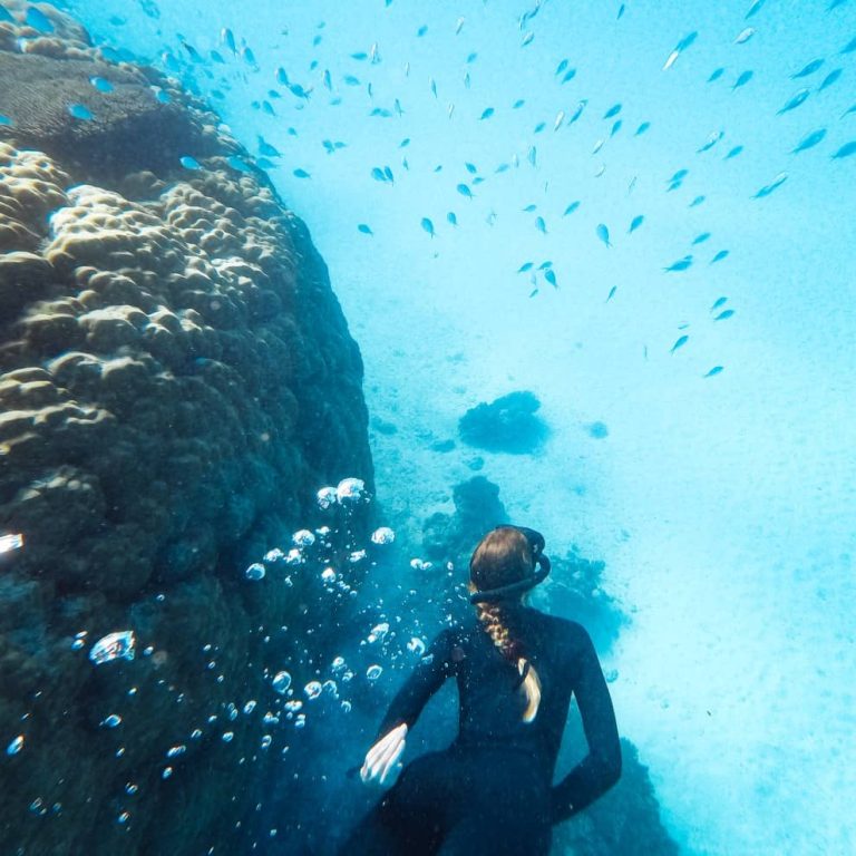 Top 6 Exmouth Snorkelling Spots + 7 Best Snorkelling Tours!