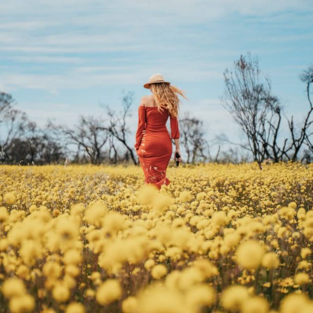 Ningaloo Reef Best Time To Visit, What To Do, And Much More
