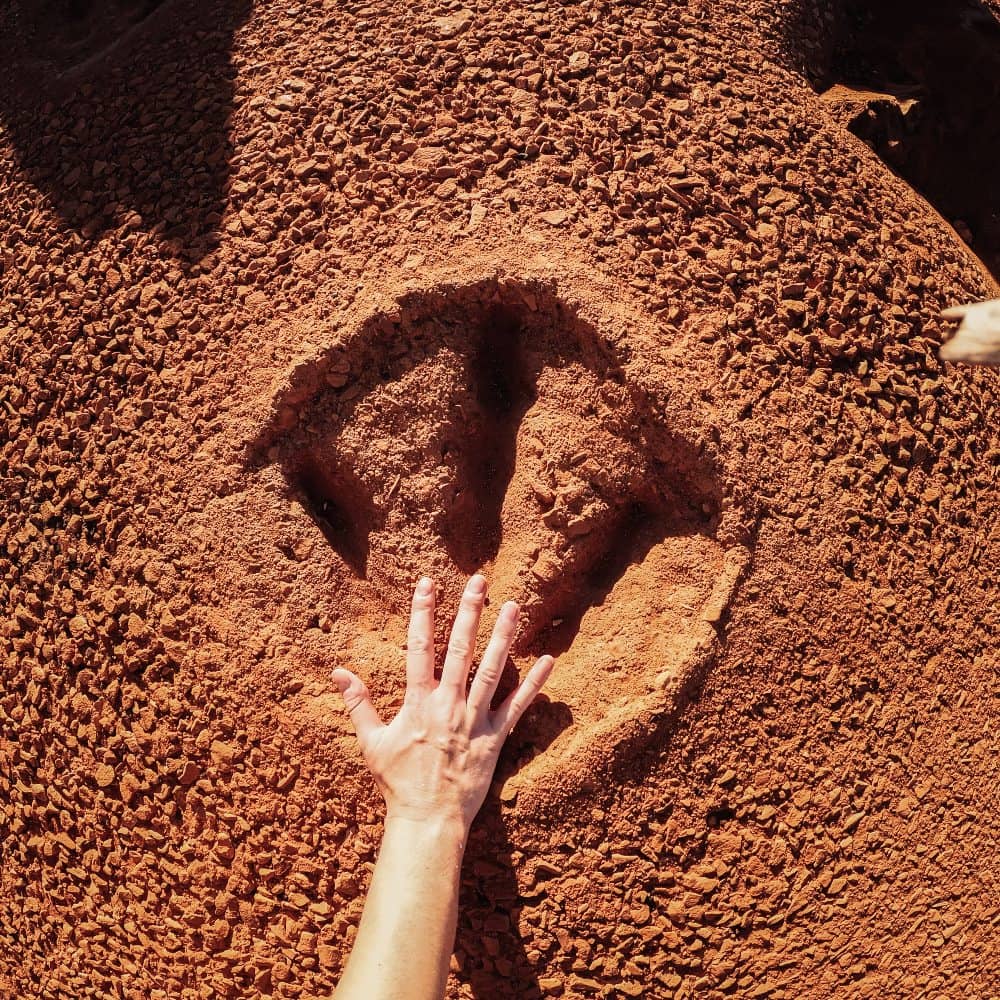 dinosaur footprints at gantheaume point broome, Western Australia