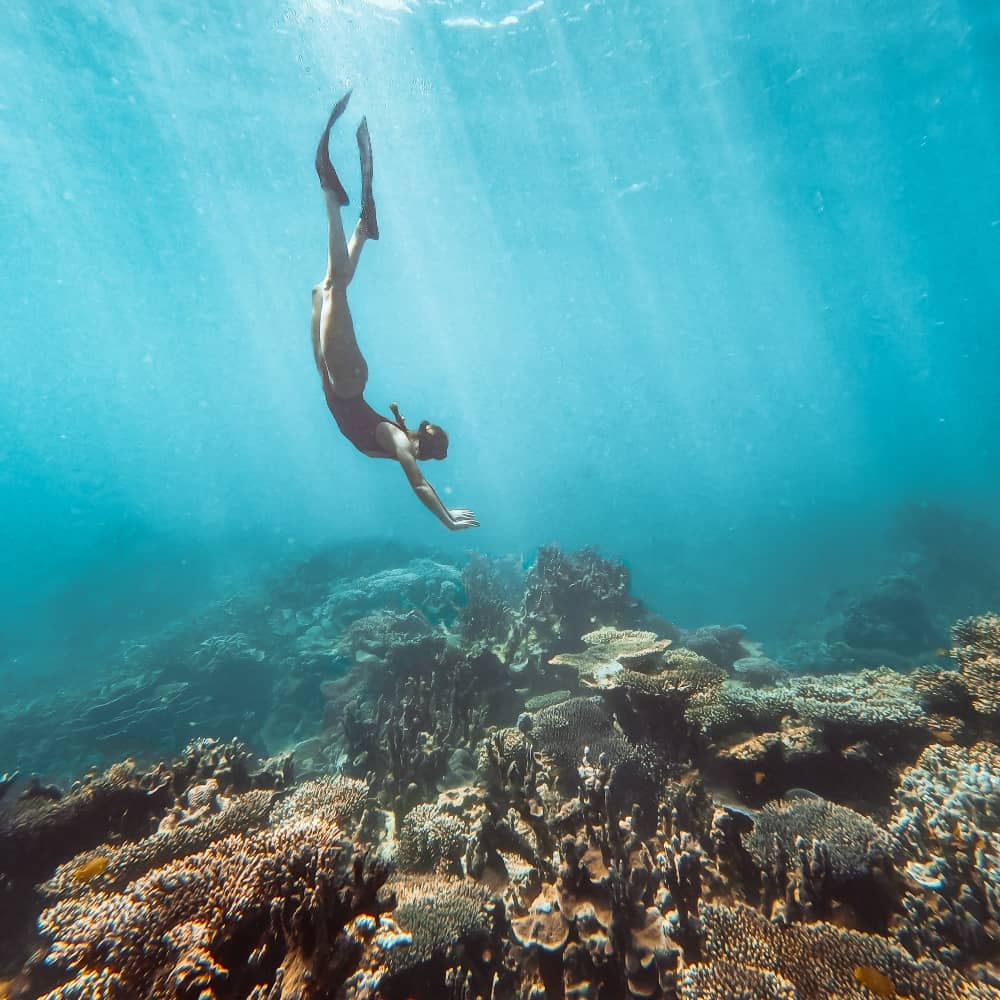 woman snorkelling and free diving into blue water on the ningaloo reef surrounded by coral