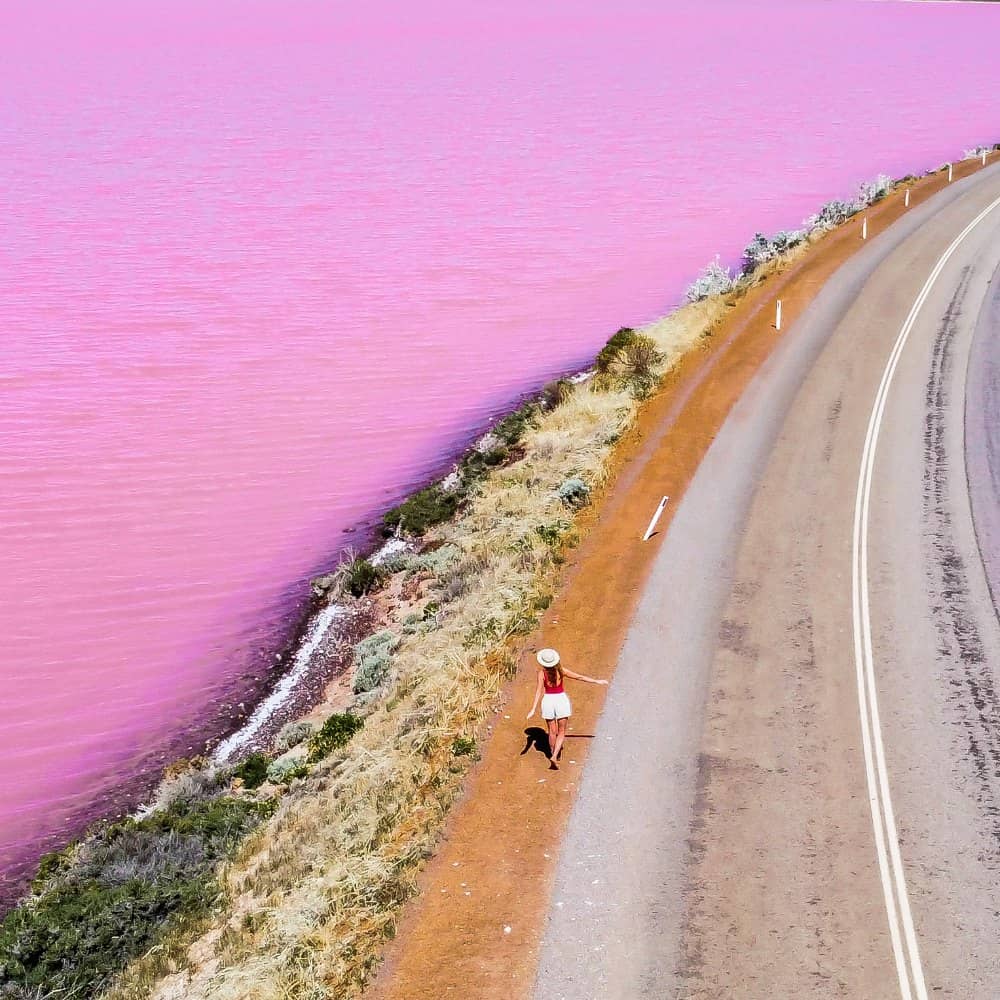 Girl walking next to hutt lagoon pink lake kalbarri lake on left side, road on right side