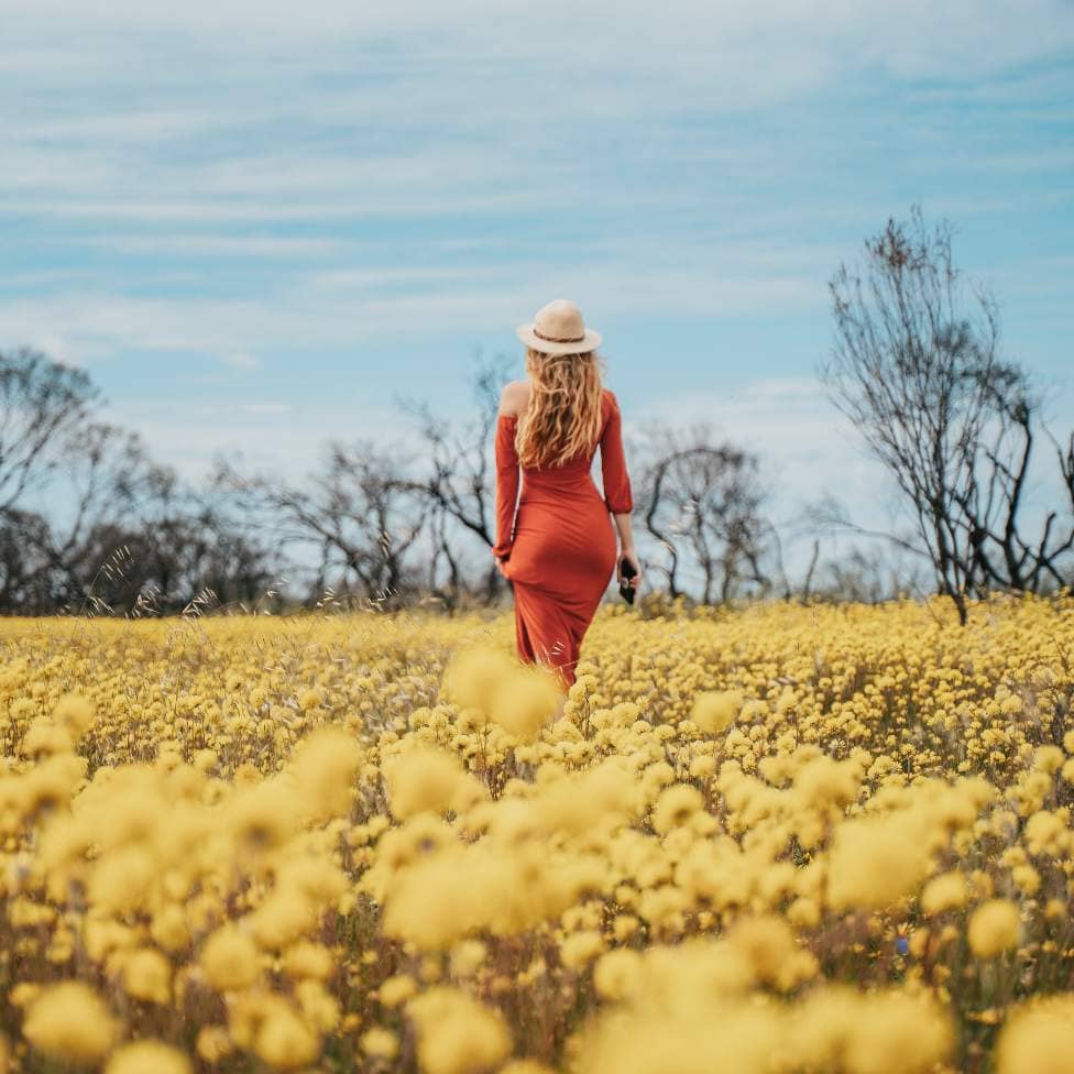 A woman in a red dress and straw hat walks through a vibrant field of yellow wildflowers in Kalbarri