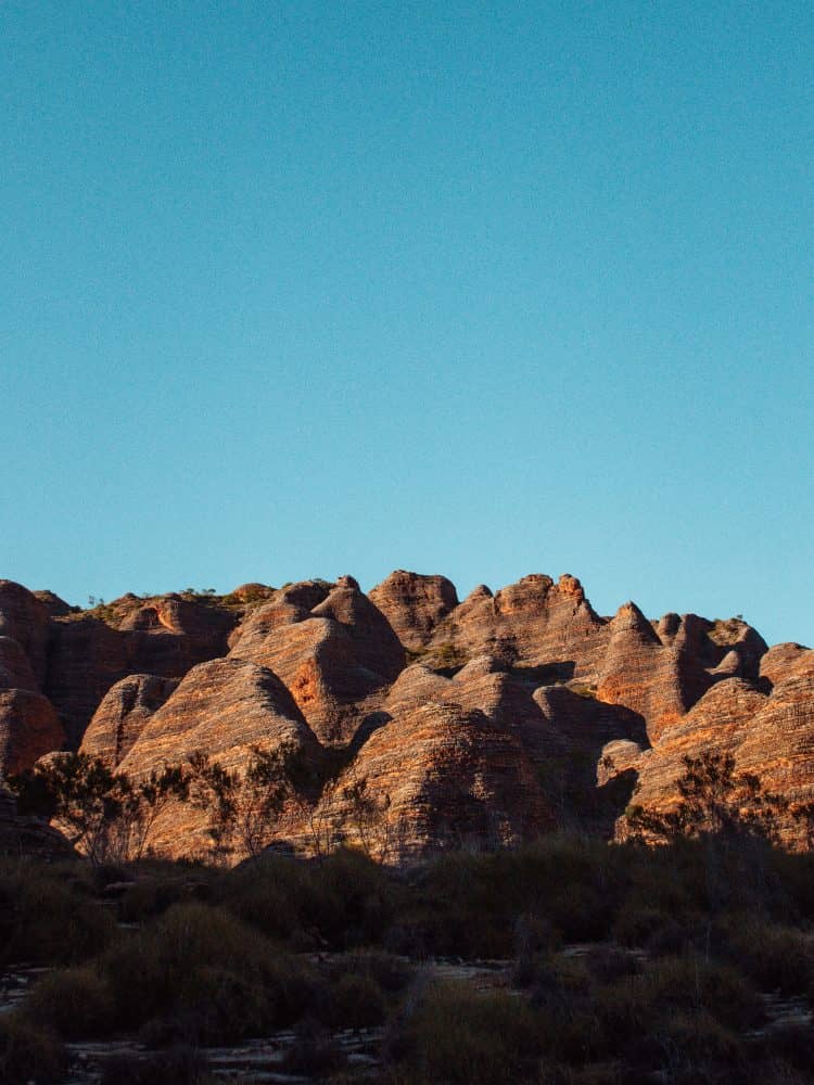 The distinctive, beehive-shaped rock formations of the Bungle Bungles in Purnululu National Park, Western Australia, stand out against a clear blue sky in the soft light of the golden hour