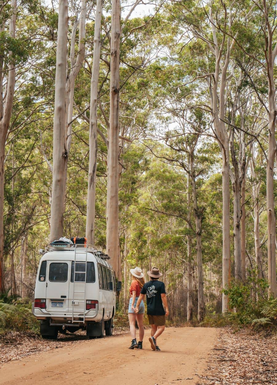 Salt and Beck are beside the Salt and Charcoal van holding hands while hiking in a forest with tall trees at the Boranup Forest, Margaret River, Western Australia