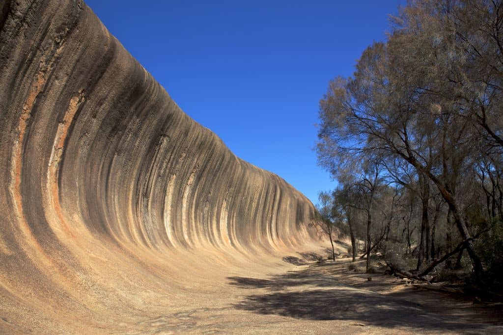 Wave rock in Hyden, Western Australia, under a blue sky and trees