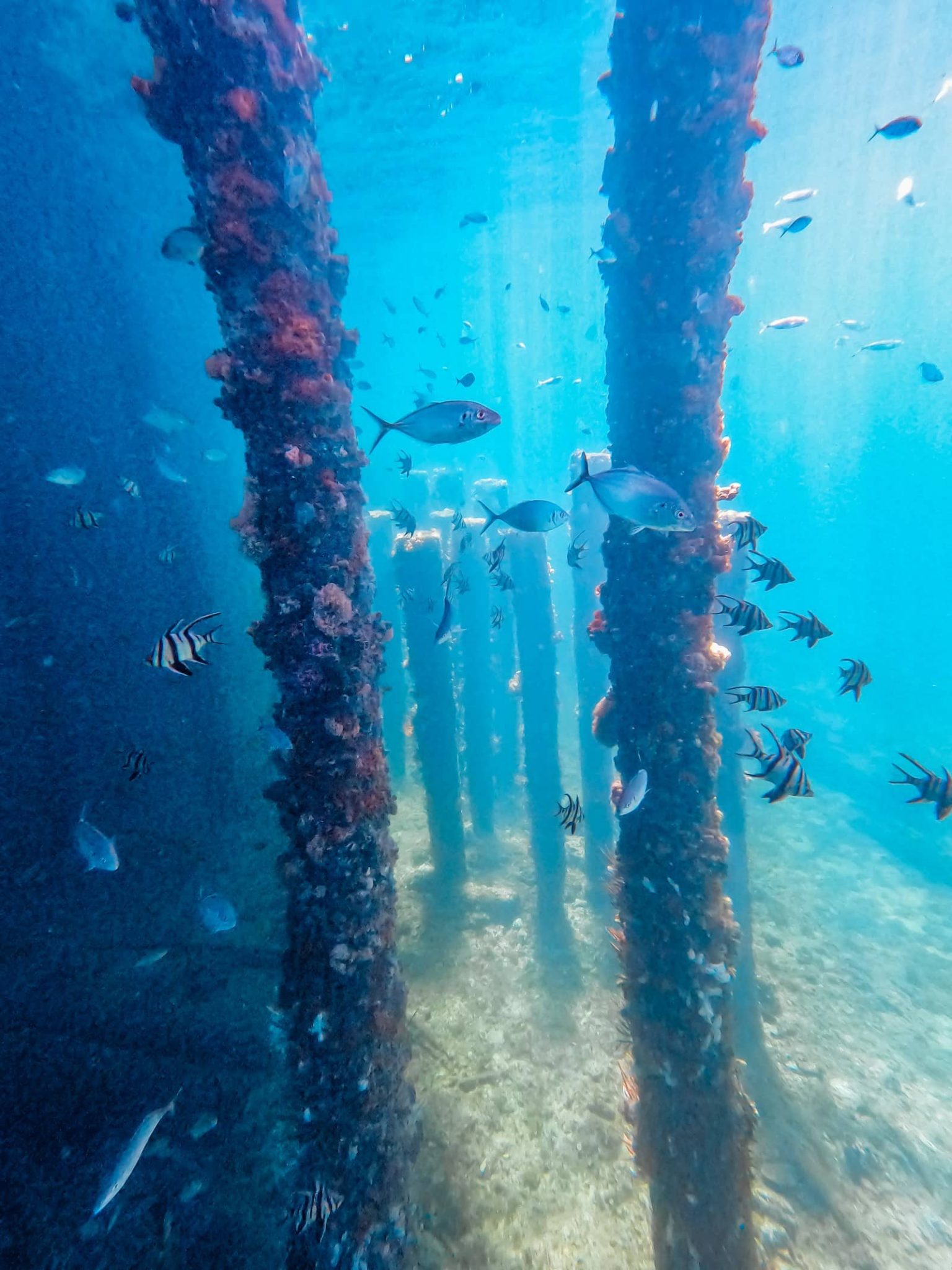 12 Things To Do In Busselton (From Locals) + FREE Map