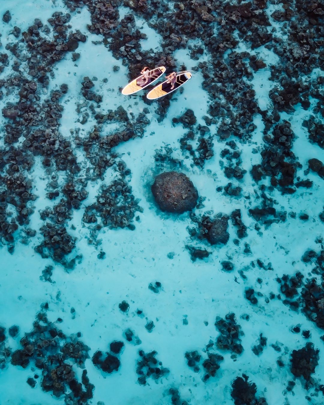 An aerial view of two people paddleboarding over the stunning coral formations in the shallow turquoise waters of Coral Bay