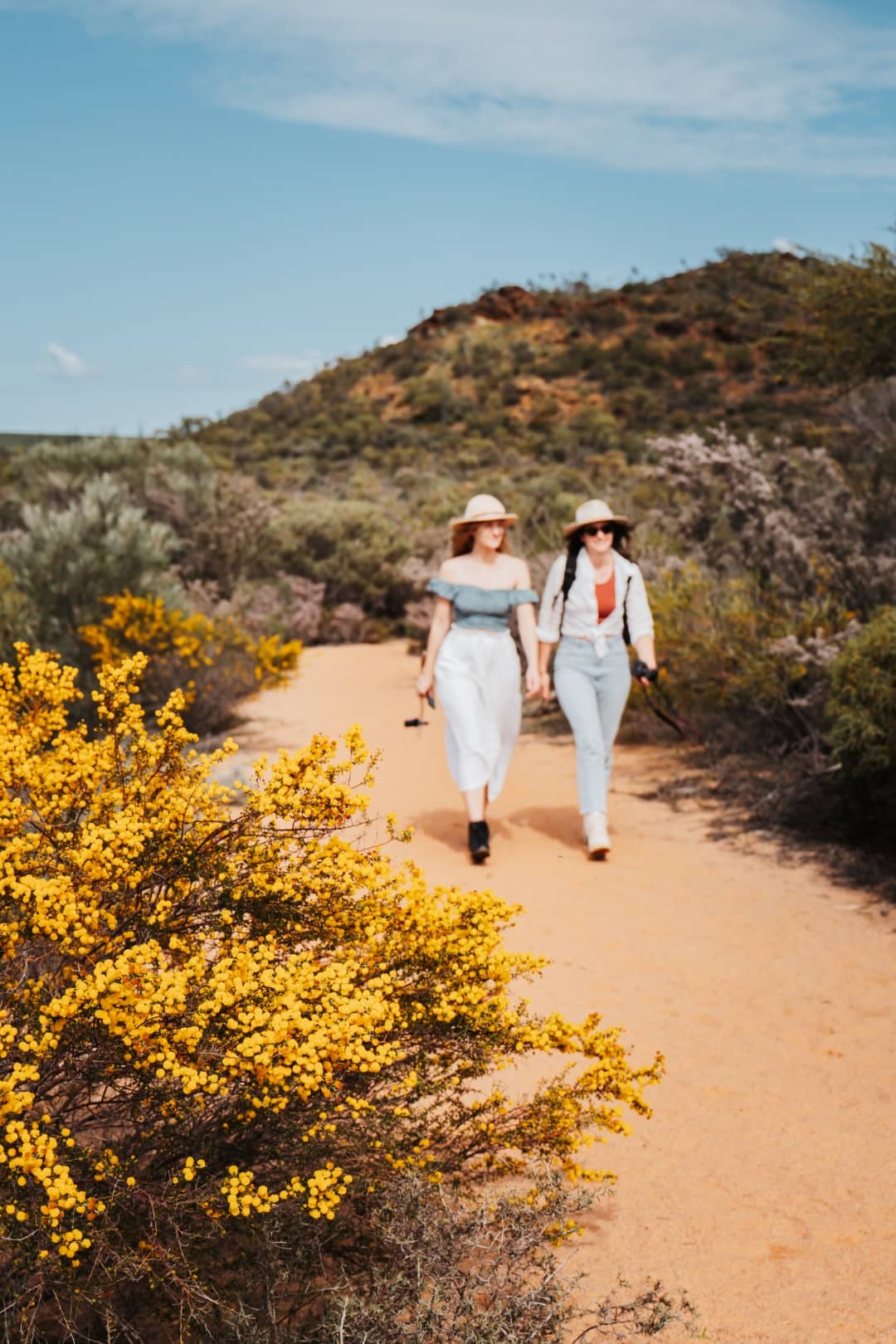 Two friends walk along a sandy path surrounded by vibrant bushland, with bright yellow wildflowers in the foreground, under the clear blue sky of Western Australia.