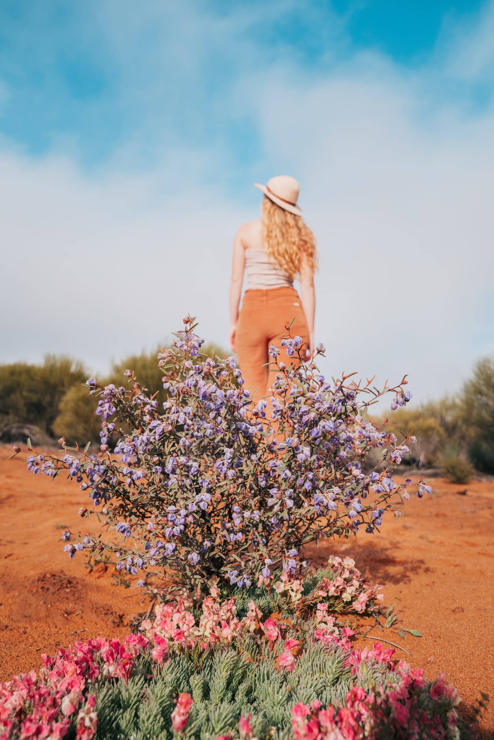 A woman with her back to the camera stands amidst a stunning wildflower display in Mellenbye, Western Australia. Blending in with the vibrant pinks and purples of the flowers before her against a backdrop of red earth and a clear blue sky.