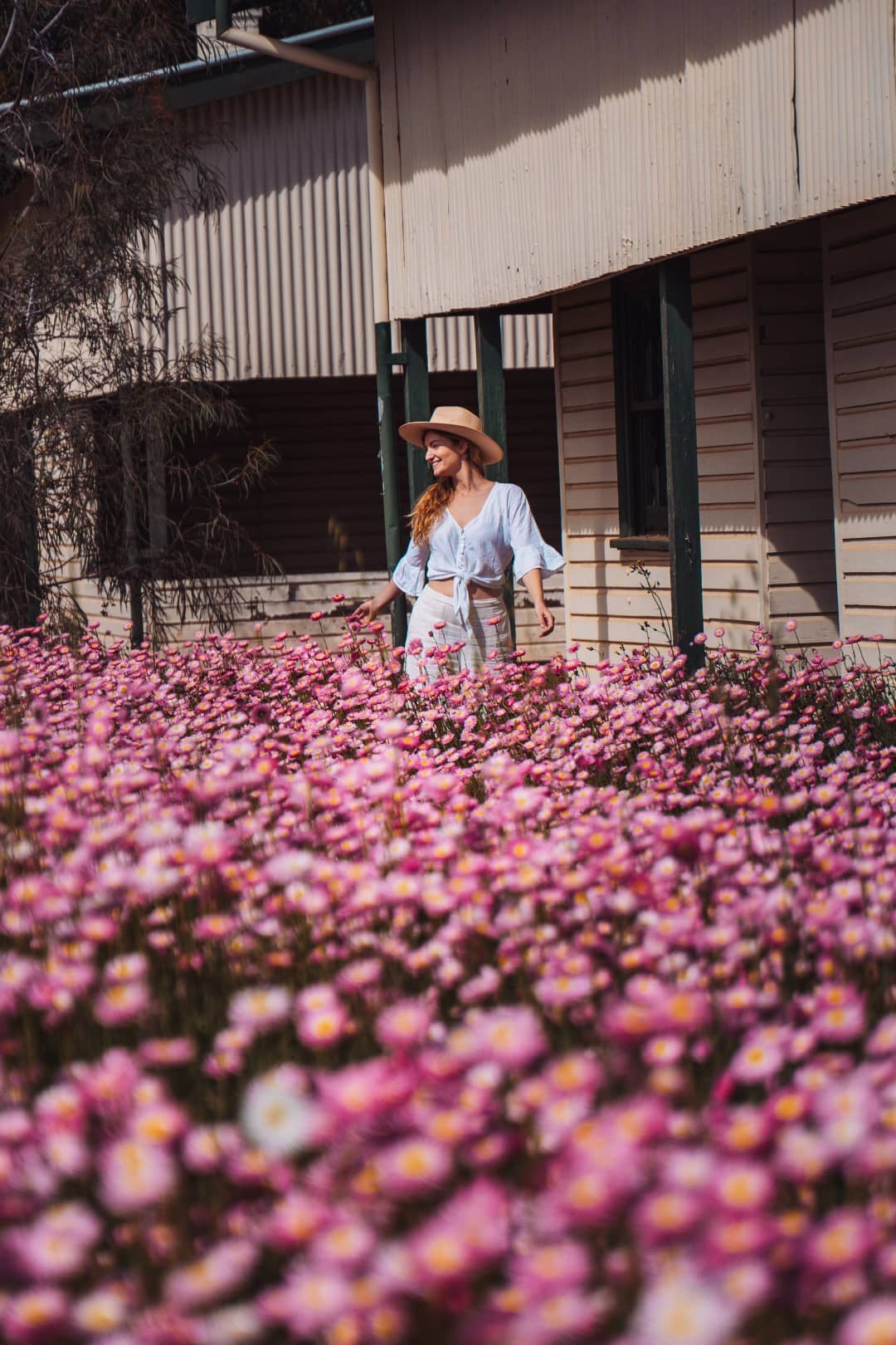 Beck of Salt and Charcoal wears light blue shirt and beige hat stands amidst a vibrant field of pink wildflowers in Western Australia, with a classic weatherboard house in the background.