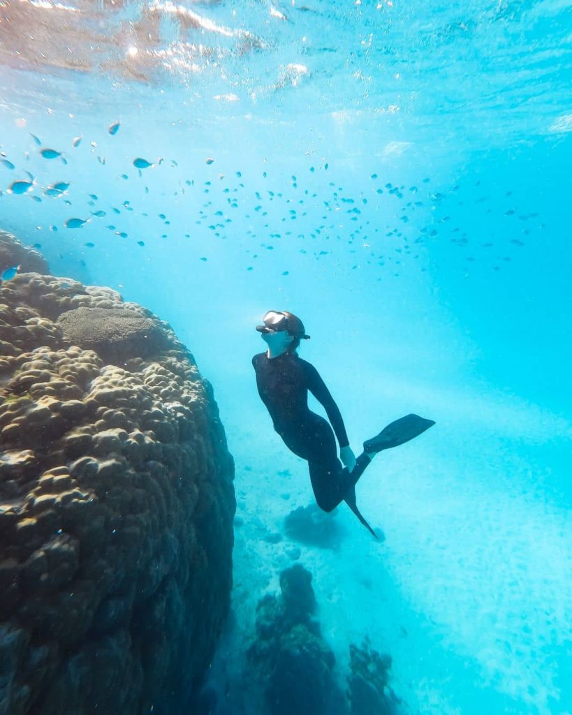 A snorkeller wearing fins and a mask swims beside coral in bright blue water at Cape Range National Park near Exmouth. The underwater scene highlights the easy reef snorkelling available along the Ningaloo Coast.