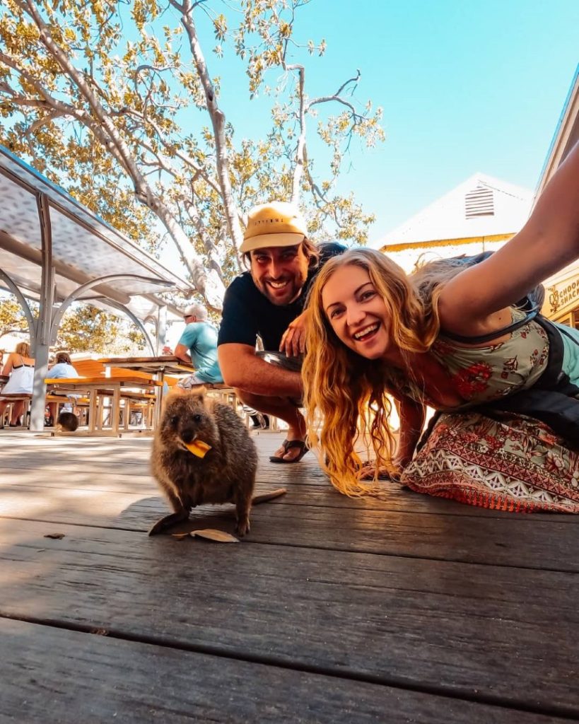 A couple crouching on a wooden deck of an outdoor cafe, smiling at the camera with a quokka in front of them eating a piece of food in Rottnest Island Western Australia