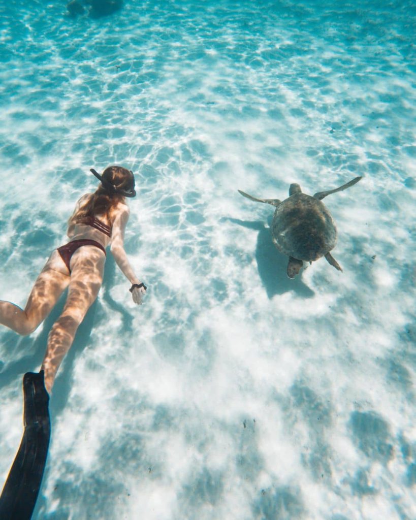 A snorkeller swims alongside a sea turtle over a pale sandy seabed in clear turquoise water near Exmouth. The close wildlife encounter shows why the Ningaloo Coast is a memorable detour before or after Karijini.