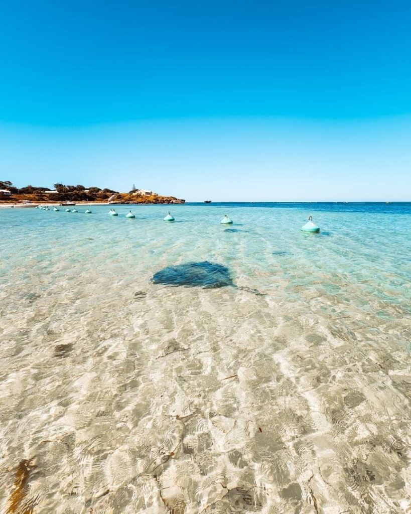 View of Thomson Bay at Rottnest Island with clear, shallow water and a stingray visible beneath the surface.