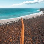Aerial view of a red dirt track running through scrub toward a long white beach and turquoise water in Shark Bay. The dramatic contrast between the red landscape and blue coast shows the scenery found along this road trip.