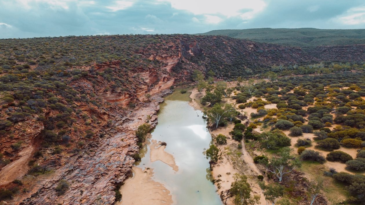 An aerial view of the gorge and winding river at Loop Walk in Kalbarri National Park. It features rugged red cliffs and lush vegetation, a place worthy of Kalbarri Walks.