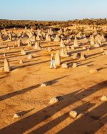 Polygons Rottnest What To Do On Rottnest Island? 22 Awesome Activities To Try