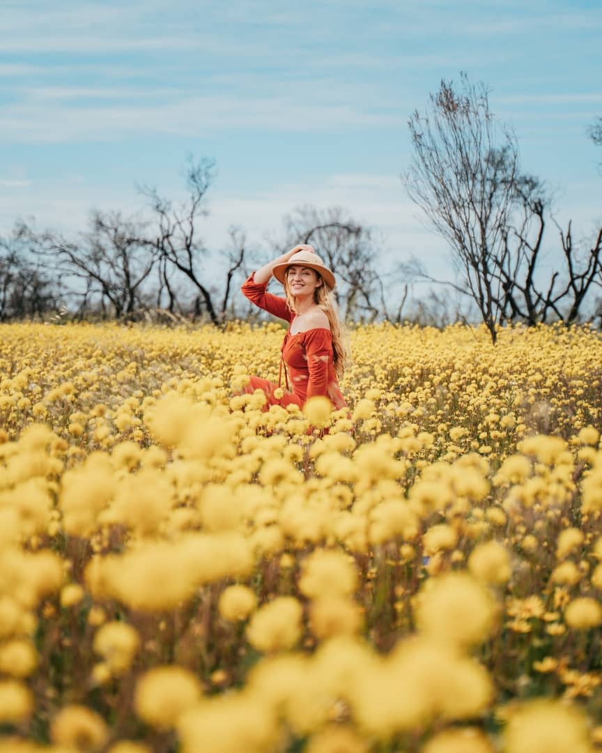 A woman in a red dress and hat sits in a field of yellow wildflowers and a few bare trees under a blue sky in Kalbarri, Western Australia.